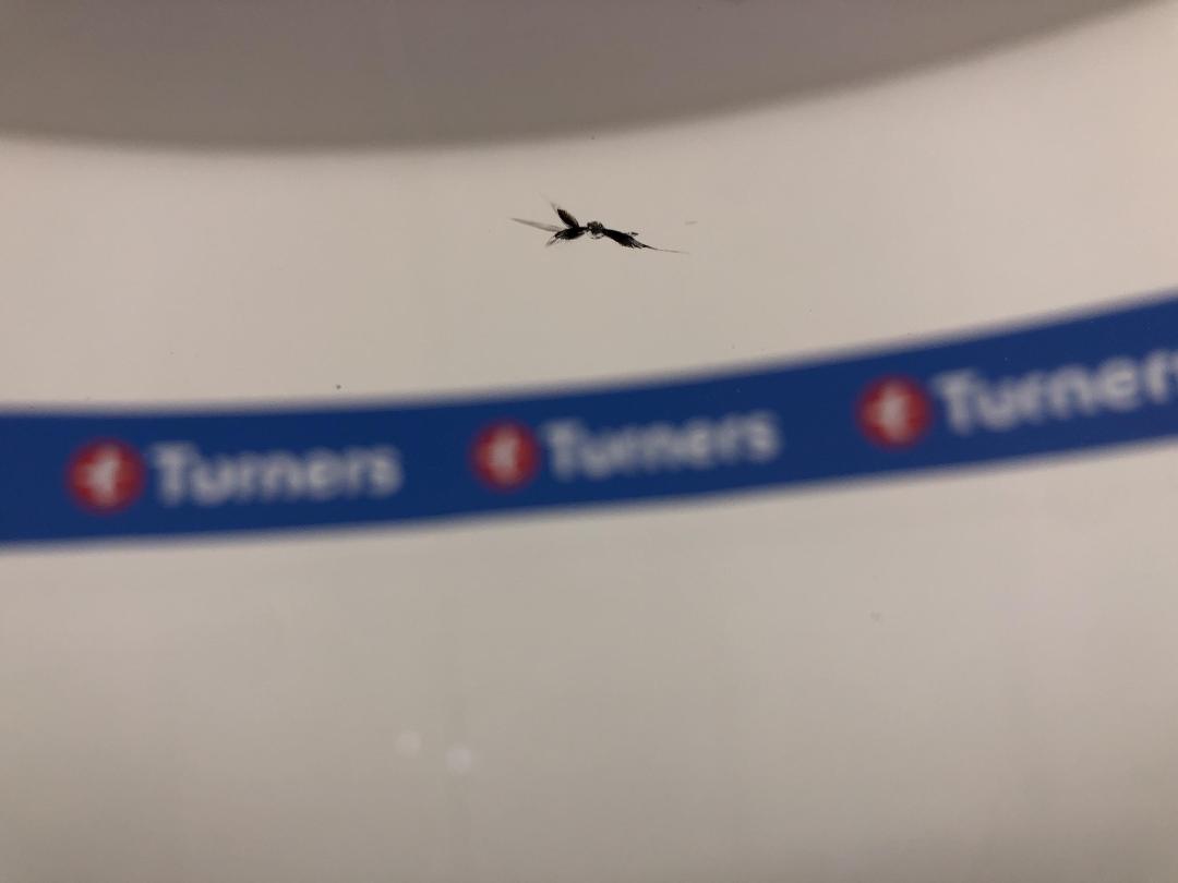 Photo '23' of Mazda CX-5