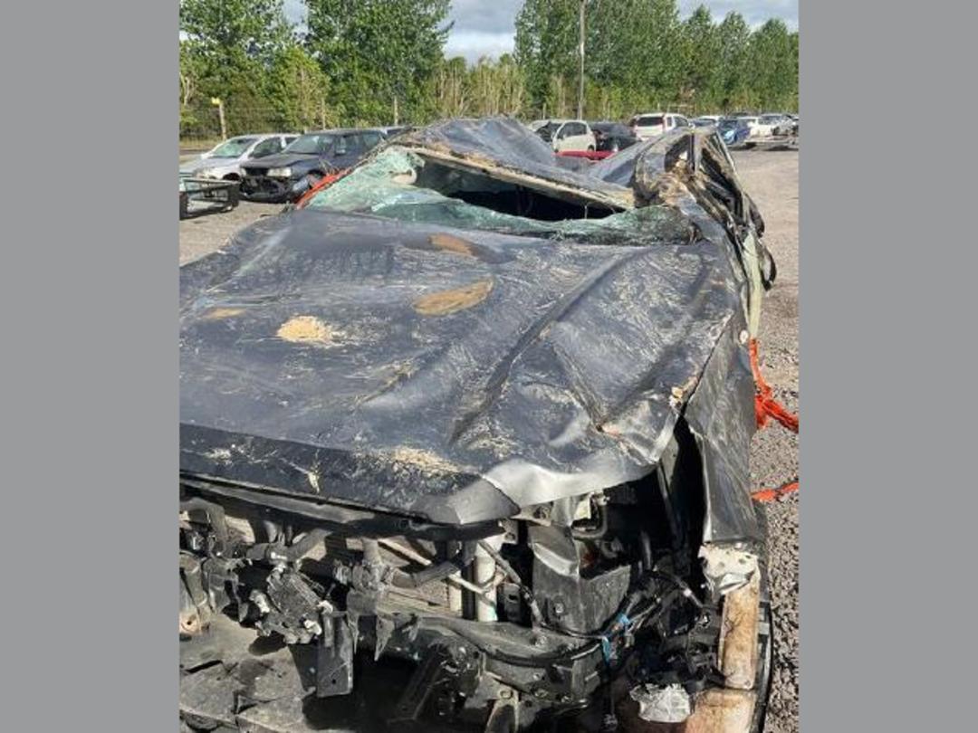 Photo '13' of Nissan Navara SL