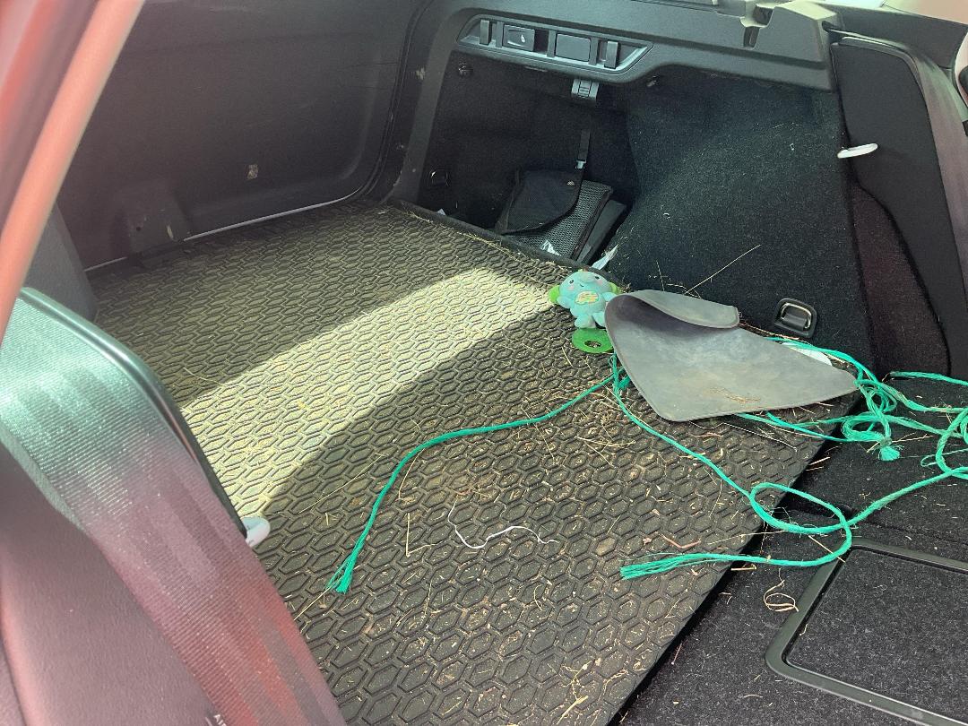 Photo '10' of Skoda Octavia Wagon STY TSI 110KW Photo '10' of Skoda Octavia Wagon STY TSI 110KW