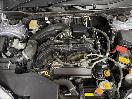 Thumbnail '13' of Subaru Forester