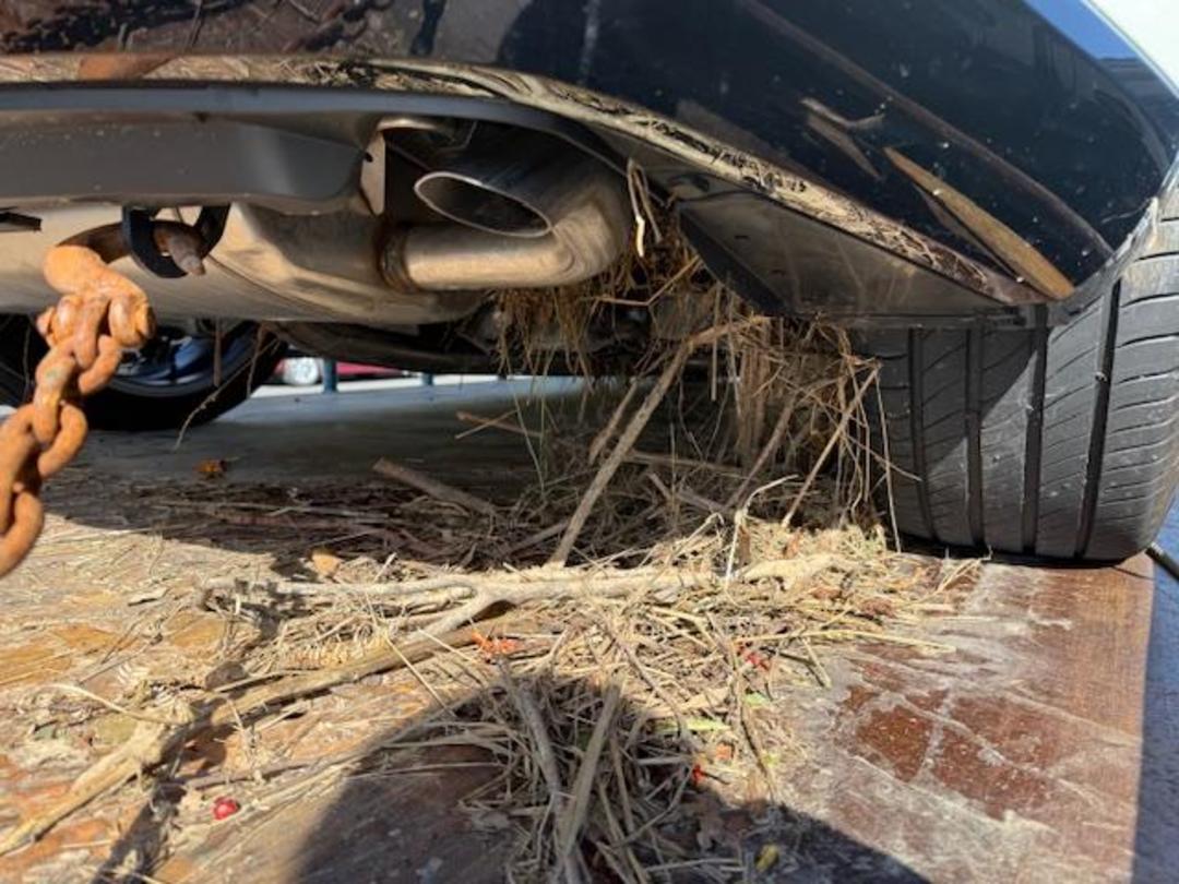 Photo '10' of Toyota Crown Photo '10' of Toyota Crown