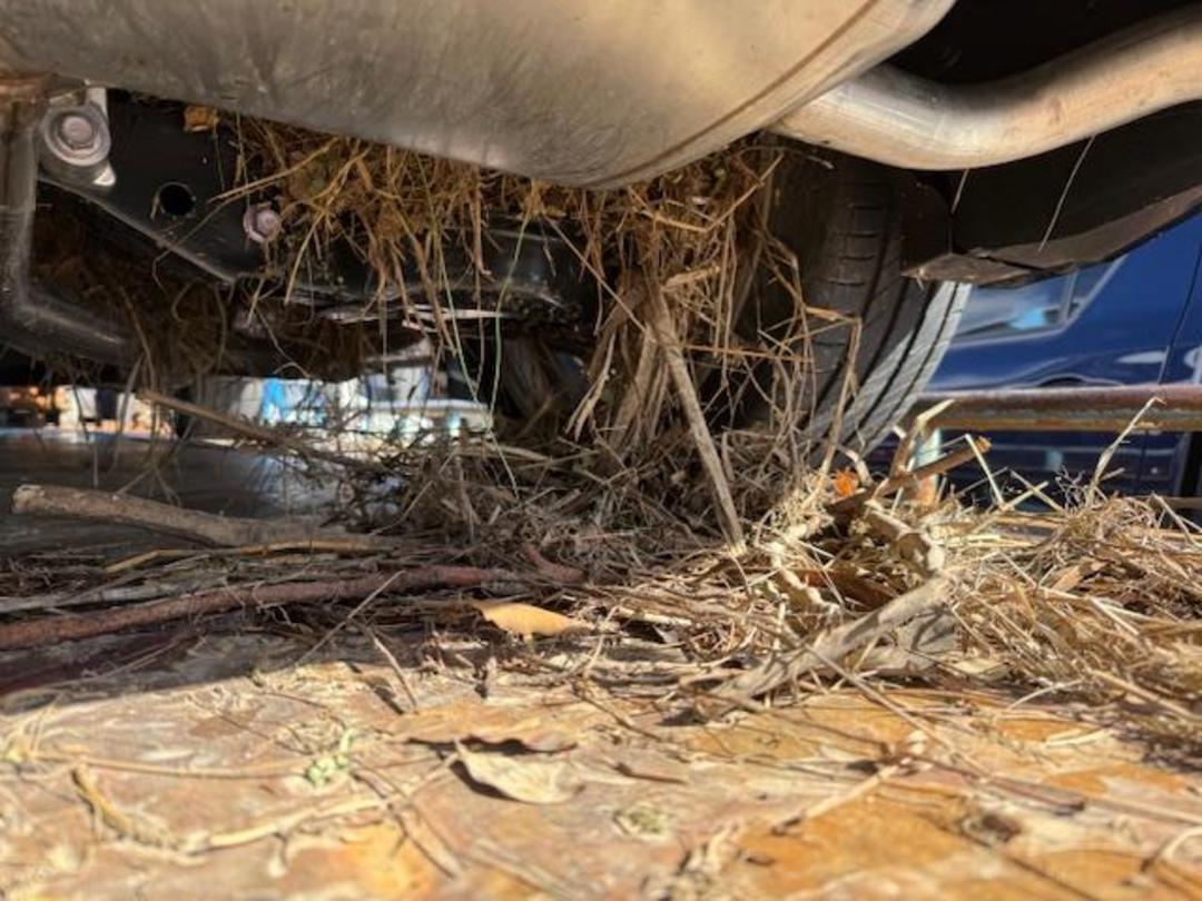 Photo '14' of Toyota Crown Photo '14' of Toyota Crown