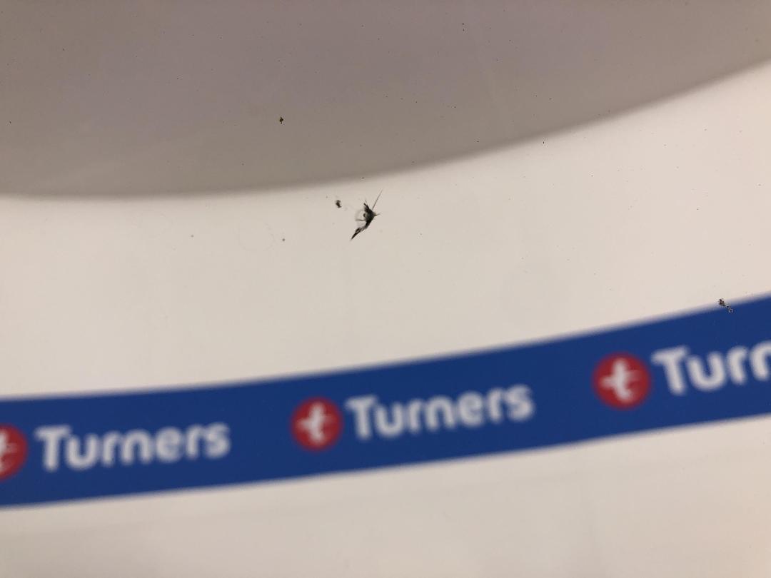 Photo '25' of Toyota Hilux