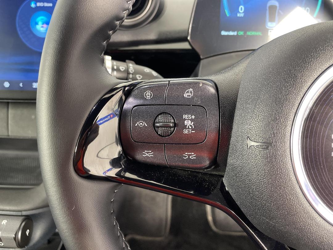 Photo '23' of BYD Dolphin