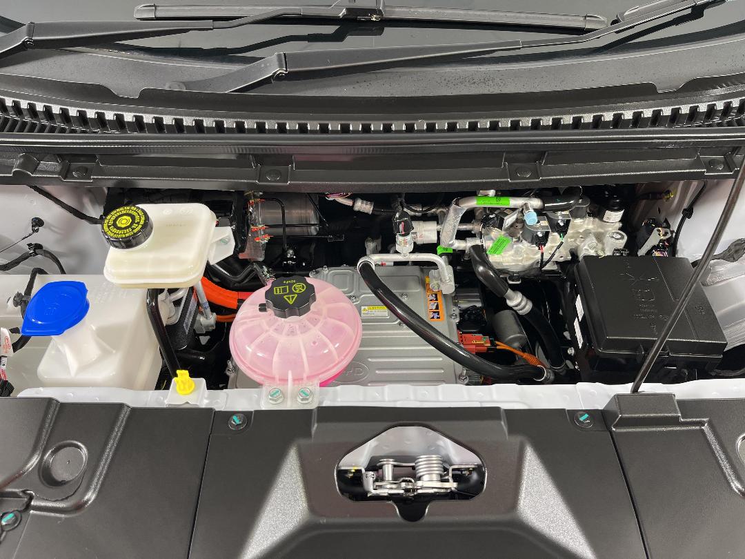 Photo '13' of BYD Dolphin