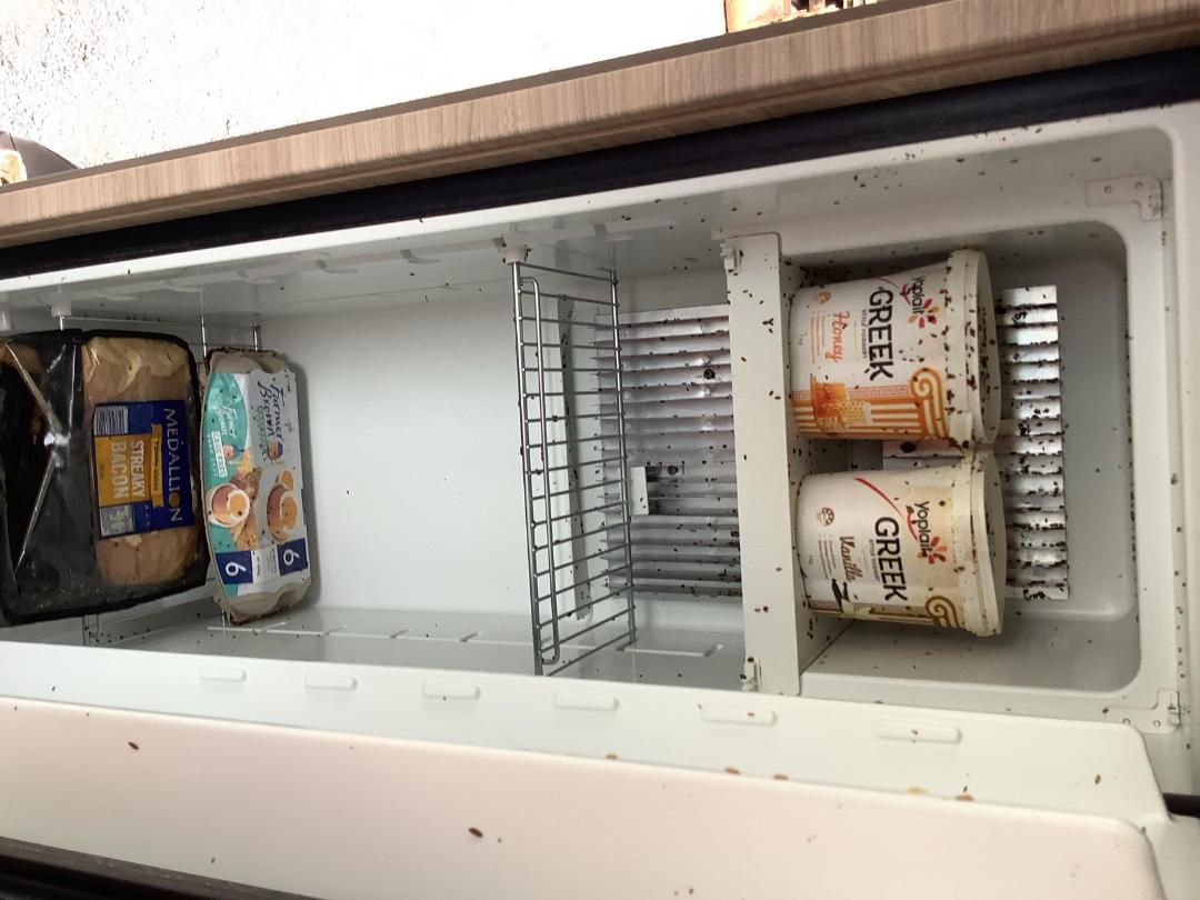 Photo '37' of Fiat Ducato Camper Motorhome