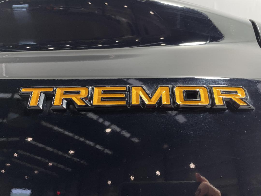 Photo '30' of Ford Ranger