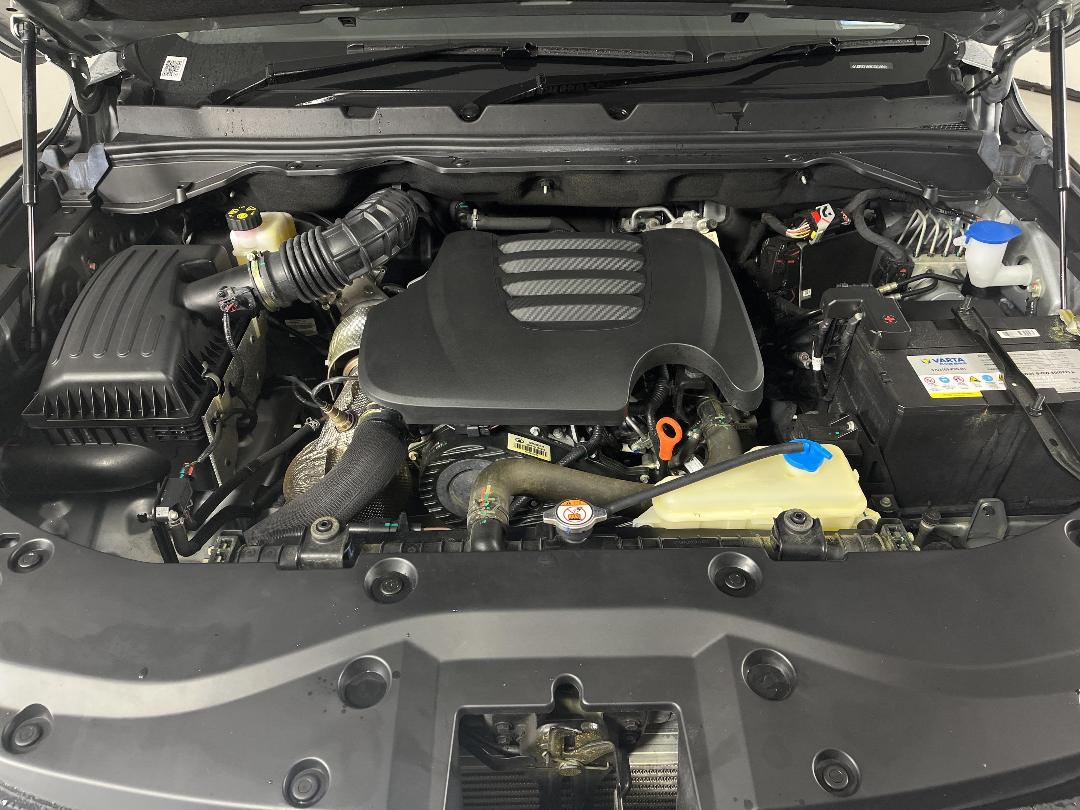 Photo '13' of GWM Cannon