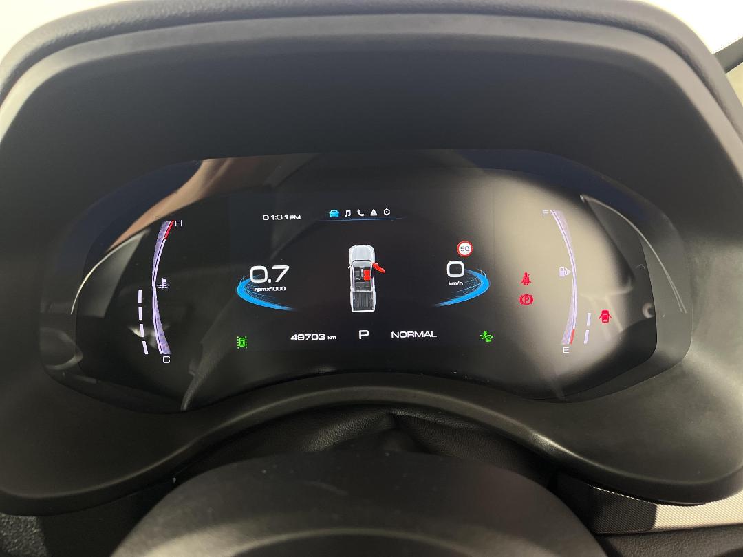 Photo '21' of GWM Cannon