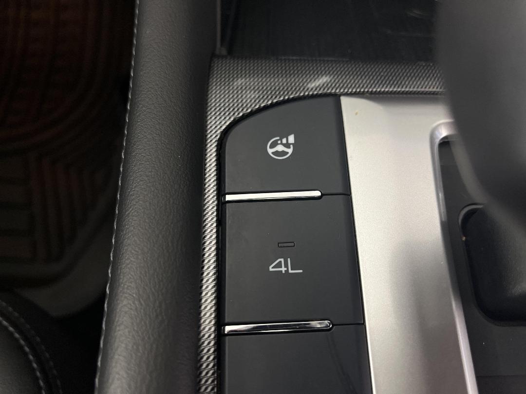 Photo '29' of GWM Cannon