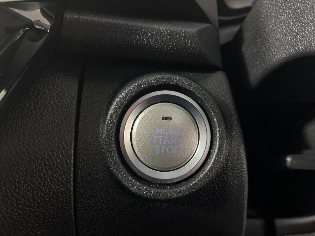 Photo '32' of GWM Cannon