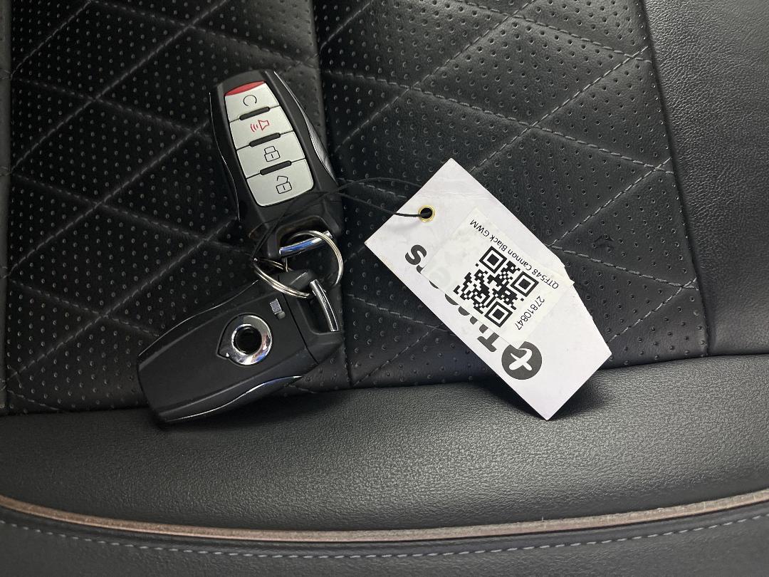 Photo '22' of GWM Cannon