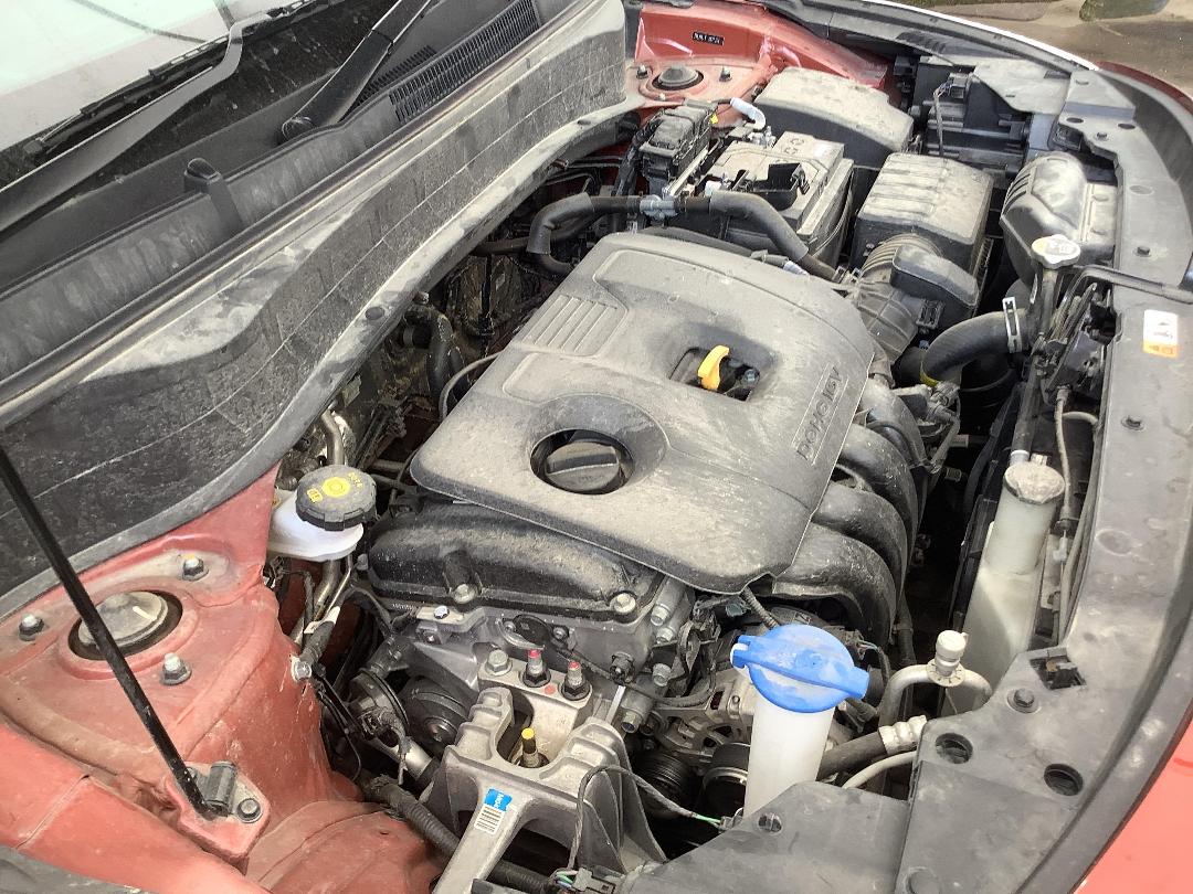 Photo '12' of KIA Seltos LX+