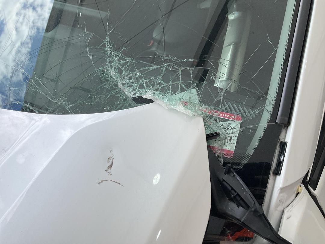 Photo '18' of Toyota Rav4 GXL