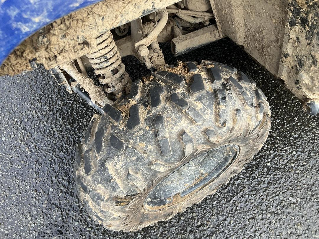 Photo '17' of Yamaha Viking EPS Photo '17' of Yamaha Viking EPS