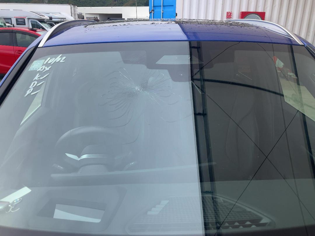 Photo '18' of BMW X1 IX1 Xdrive30