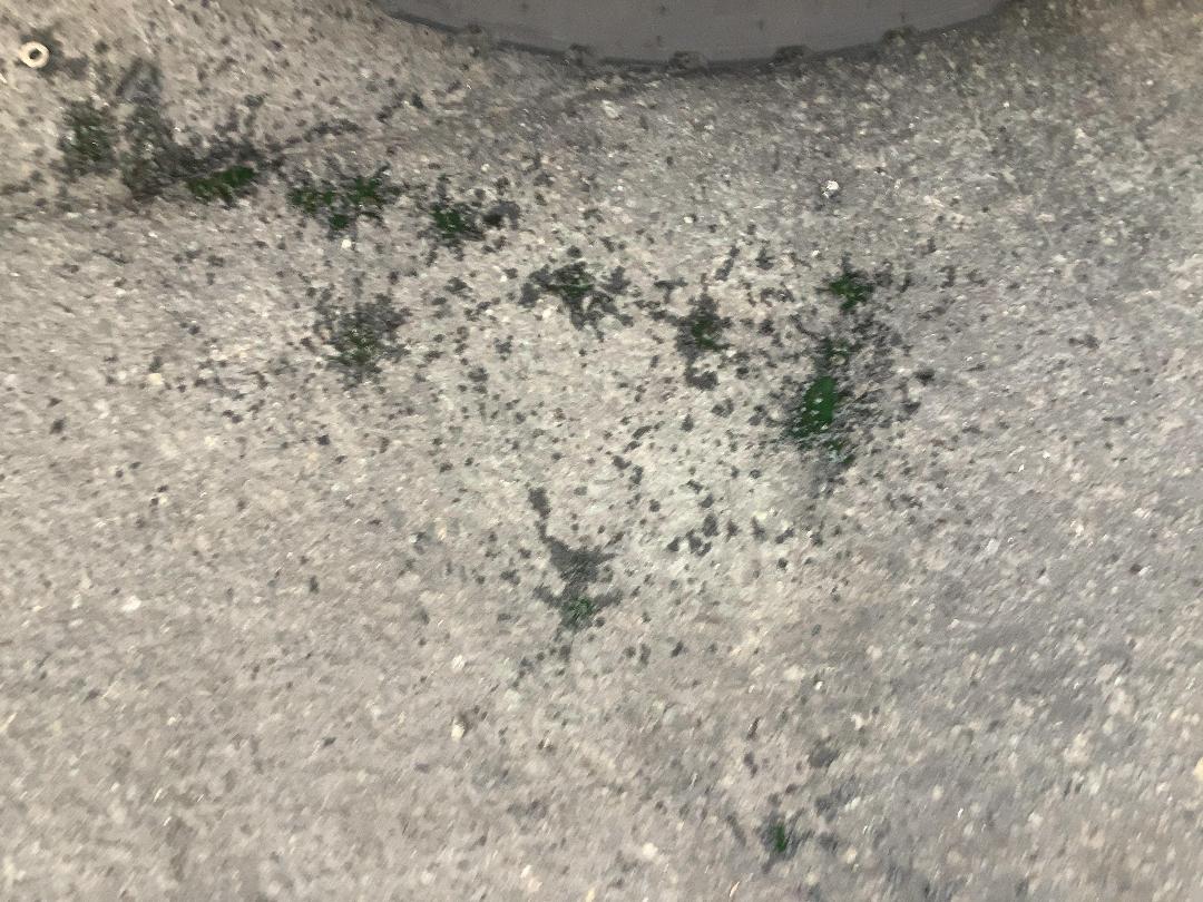 Photo '11' of Cfmoto MT450