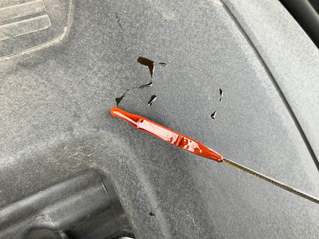 Photo '8' of KIA Seltos LX+