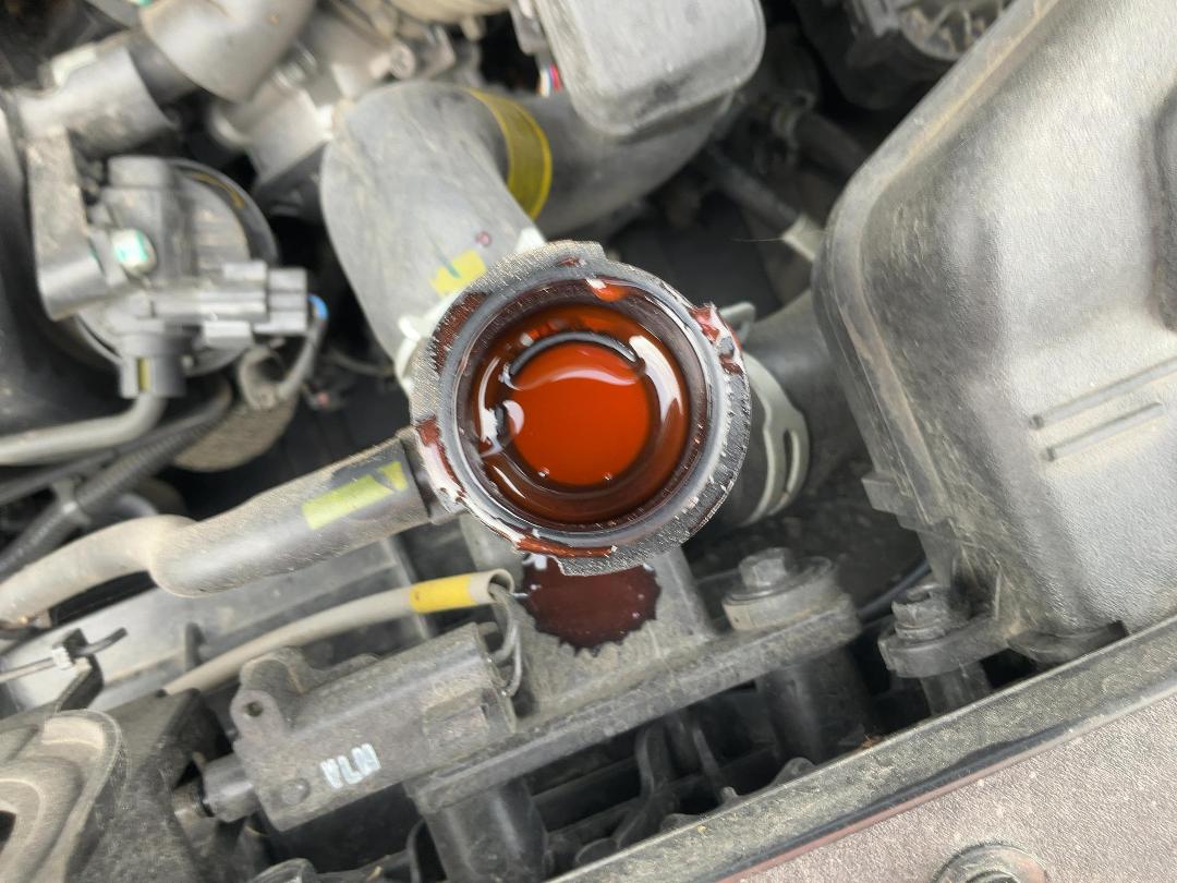 Photo '9' of KIA Seltos LX+