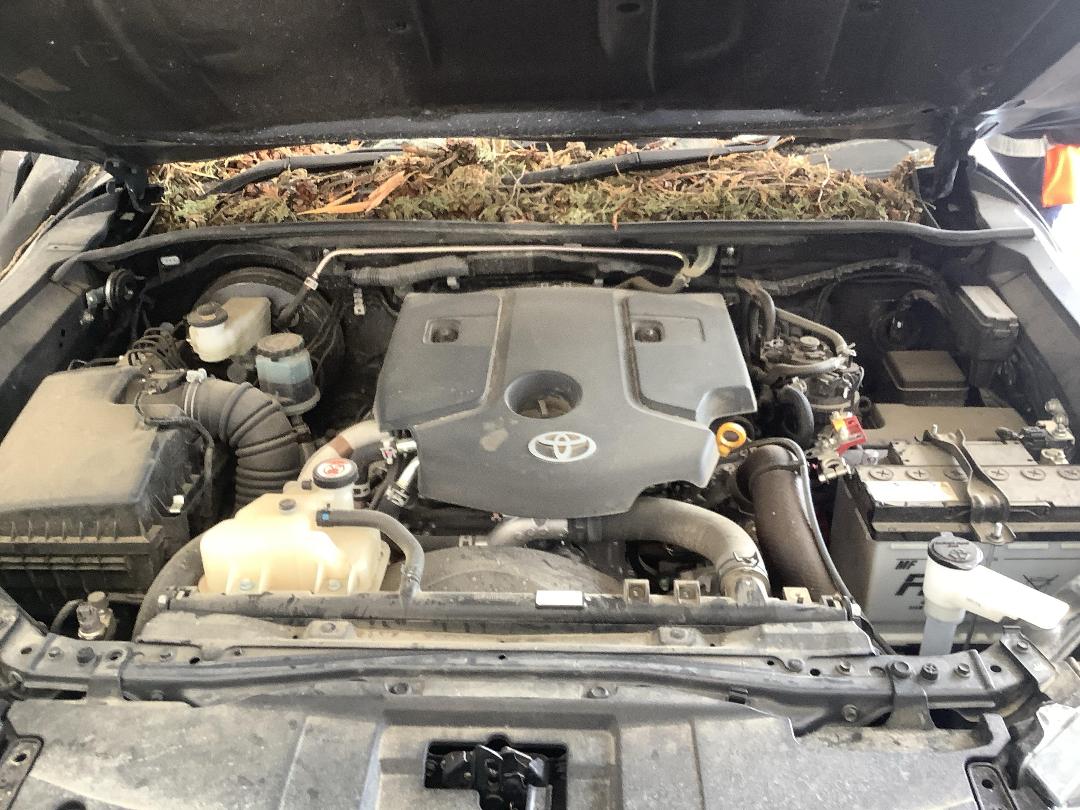 Photo '18' of Toyota Hilux SR TD DC/CC Photo '18' of Toyota Hilux SR TD DC/CC