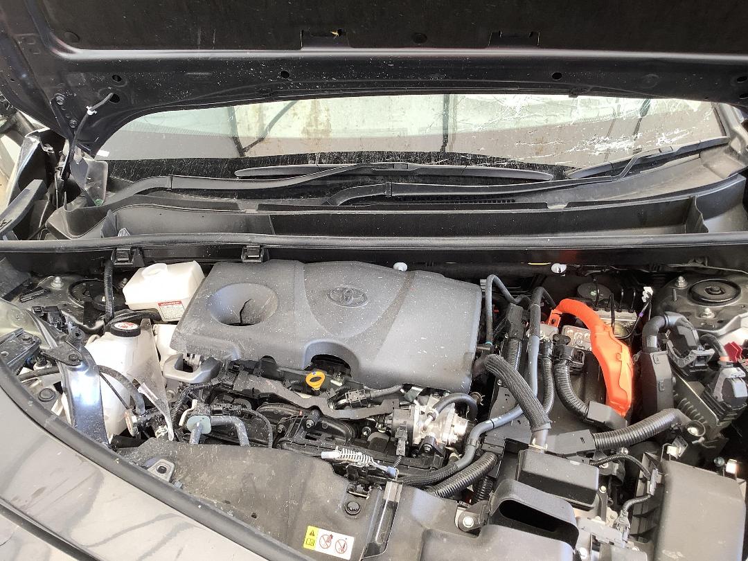 Photo '12' of Toyota Rav4 GXL