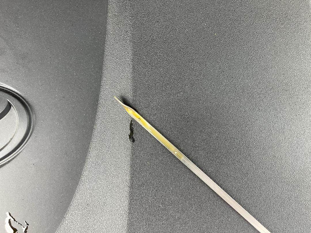 Photo '12' of Toyota Rav4 XSE Photo '12' of Toyota Rav4 XSE