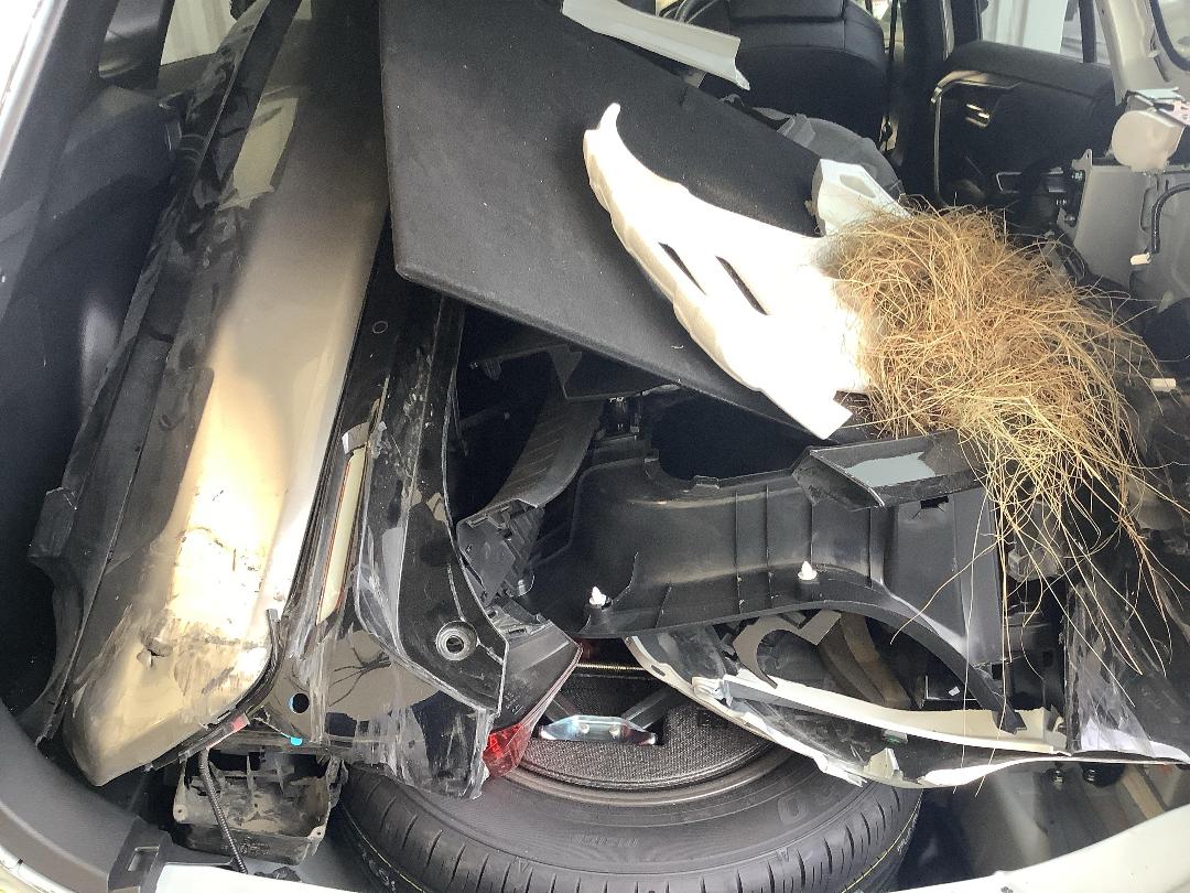 Photo '11' of Toyota Rav4 XSE