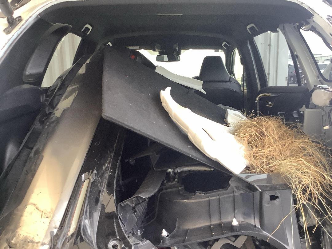 Photo '12' of Toyota Rav4 XSE