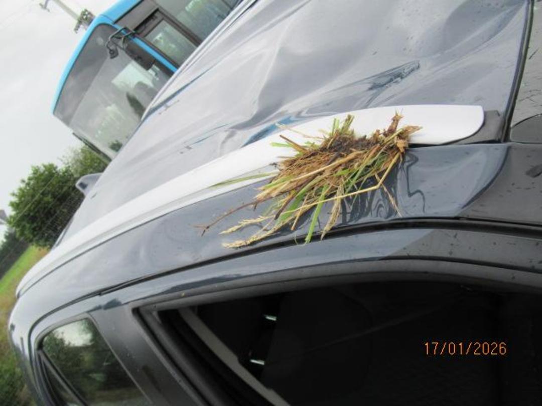 Photo '13' of Toyota Yaris Cross GX