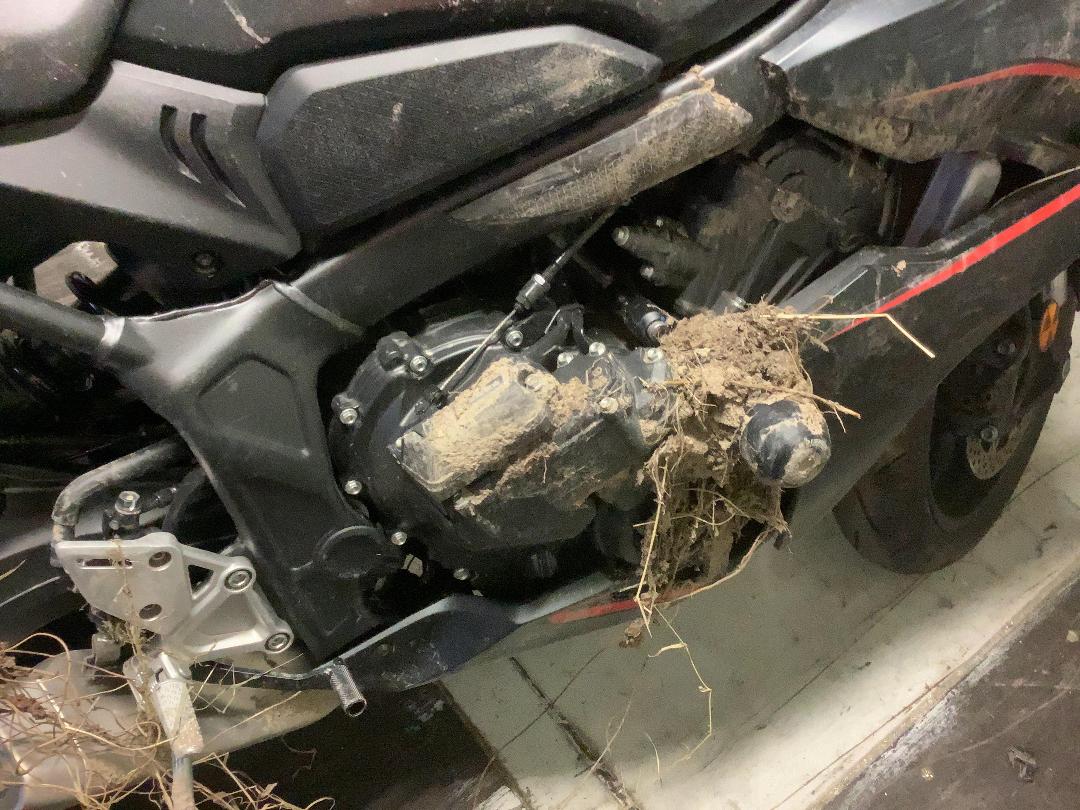 Photo '3' of Honda CBR 650 P