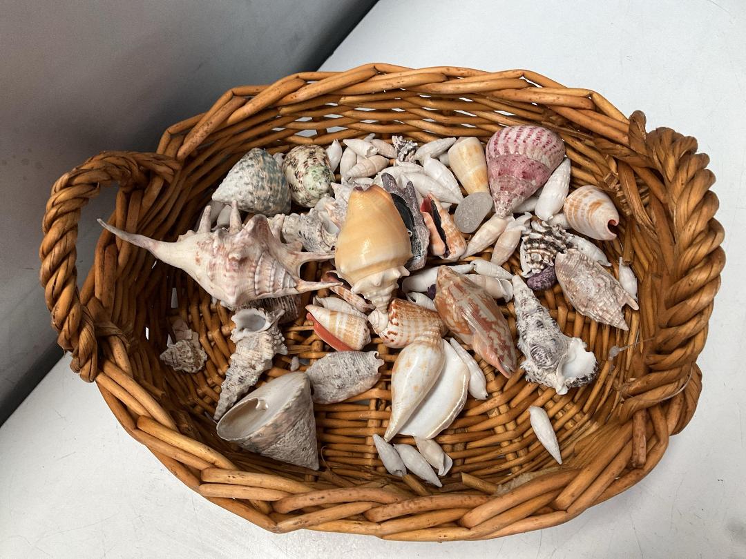 Photo '2' of Framed Print or Similar, Paints, Paintbrushes, Shells Etc