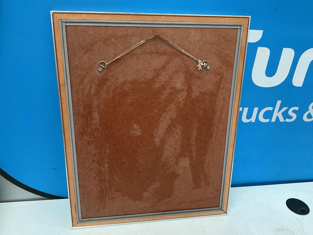 Photo '11' of Blue/Silver Coloured Framed Bird Print or Similar