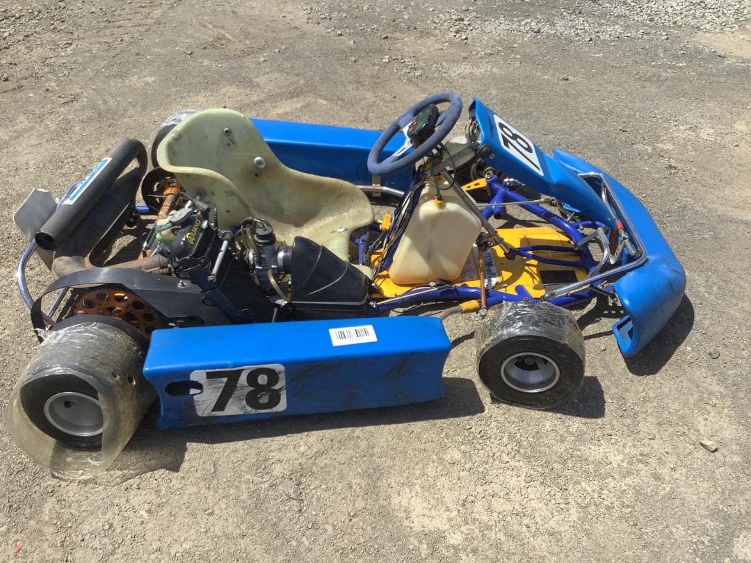 Great Deal On Top Kart 2stroke Racing GO-KART, Rotax 125cc (Senior ...