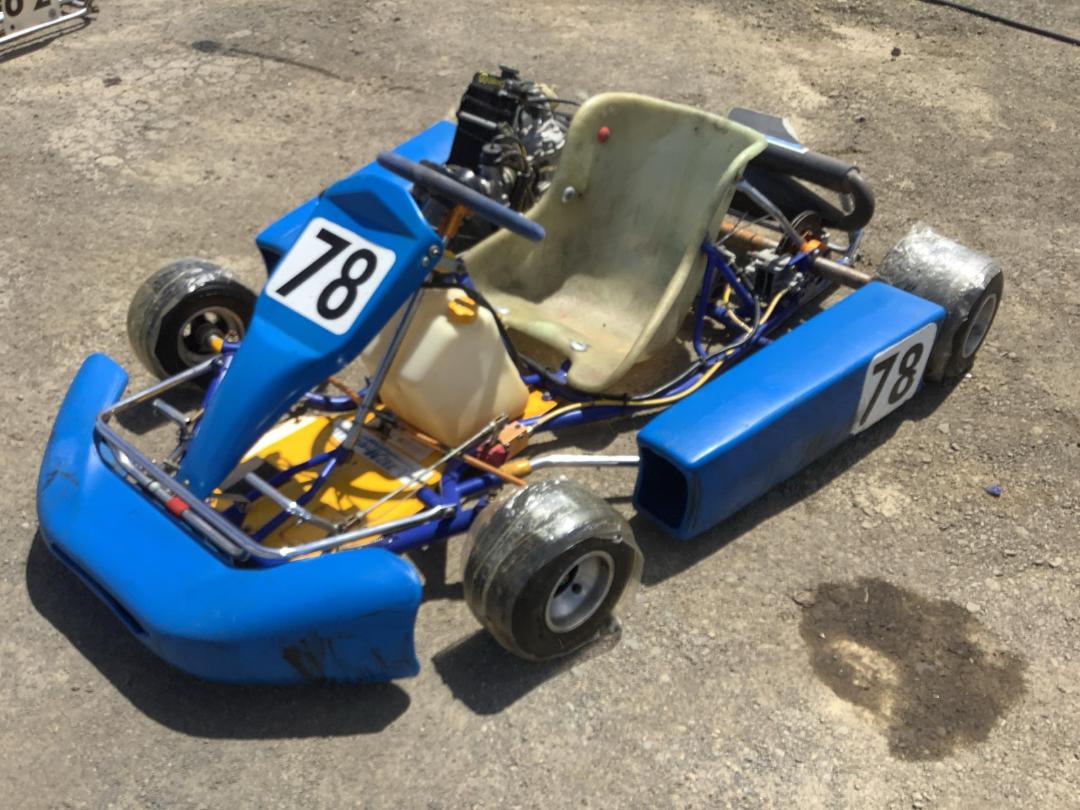 Great Deal On Top Kart 2stroke Racing GO-KART, Rotax 125cc (Senior ...