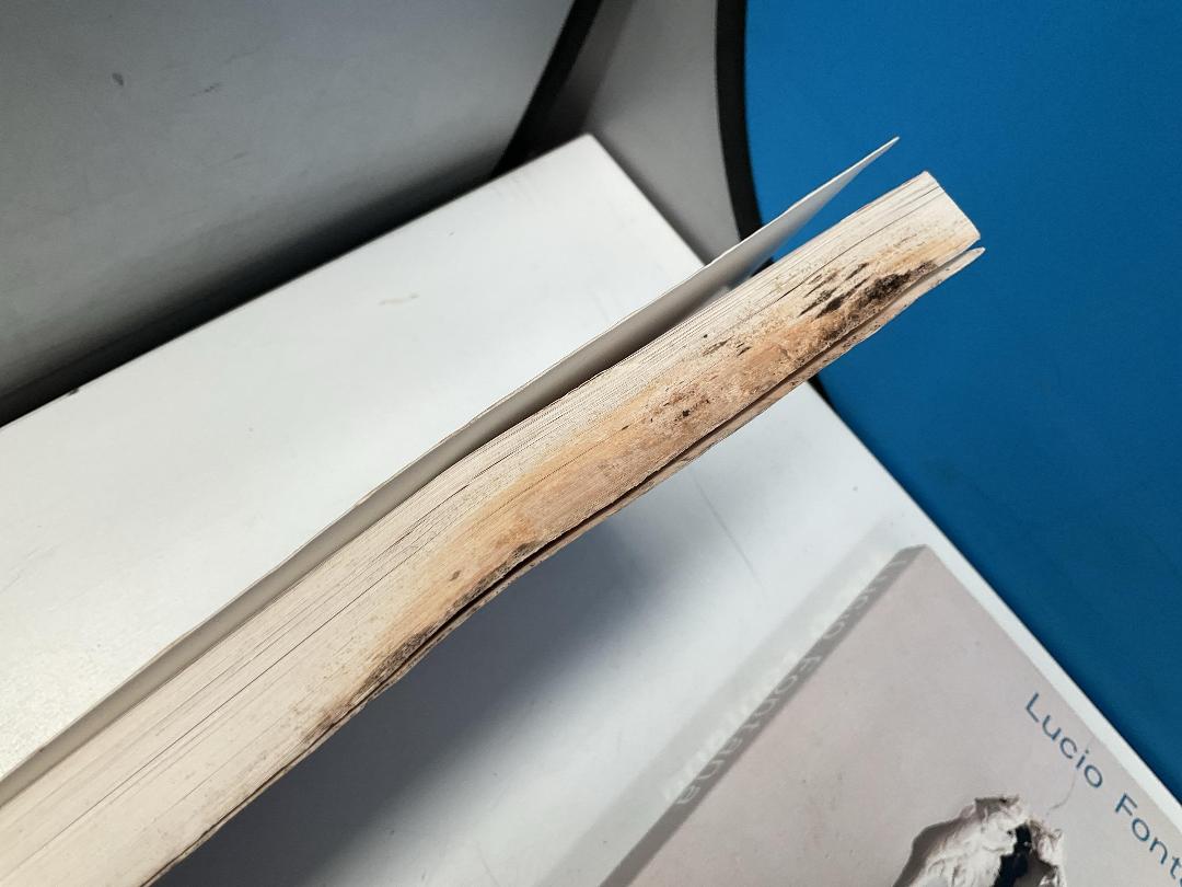 Photo '10' of Various Books - The Ancient Greeks Etc