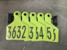 Thumbnail '3' of Z Tags Cattle Ear Tags