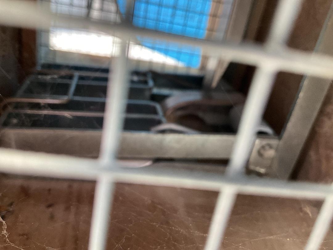 Photo '24' of 2x Pest Traps or Similar and 1x Recycling Bin