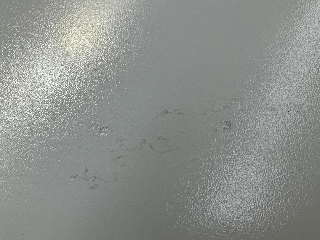 Photo '4' of Short Light Grey Coloured Desk for Displaying Brochures or Similar