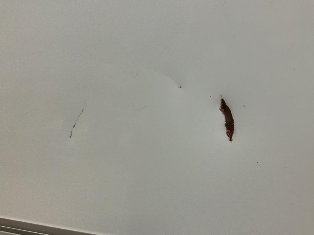 Photo '6' of Whiteboard - Has Carry Handle and Stand Attached