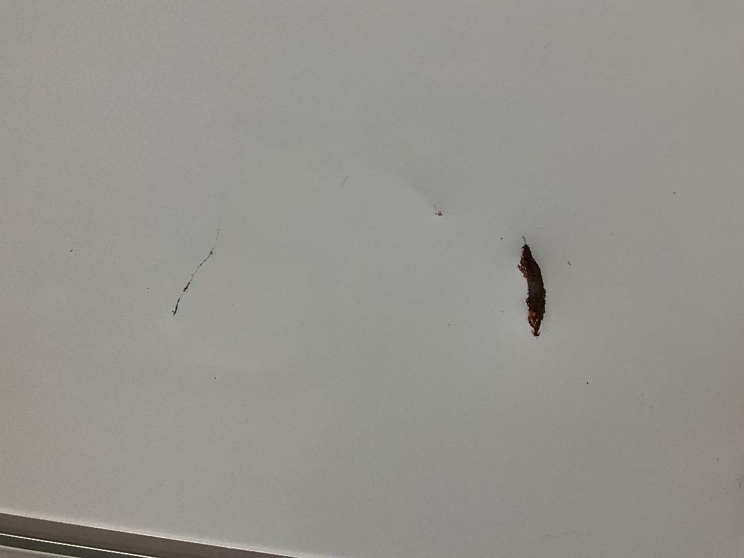 Photo '7' of Whiteboard - Has Carry Handle and Stand Attached