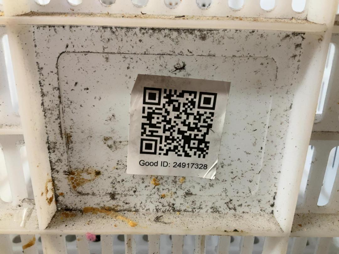 Photo '4' of Misc Plastic Containers/cups Photo '4' of Misc Plastic Containers/cups