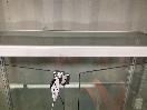 Thumbnail '13' of Glass Display Cabinet