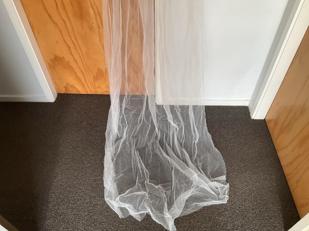 Photo '2' of Long veil with comb