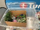Thumbnail '2' of Bulk Lot of Artificial Colourful Flowers for Crafts Etc