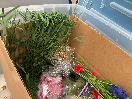 Thumbnail '6' of Bulk Lot of Artificial Colourful Flowers for Crafts Etc