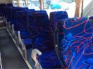 Thumbnail '17' of Factory Built Zhongtong LCK6906H Coach Thumbnail '17' of Factory Built Zhongtong LCK6906H Coach