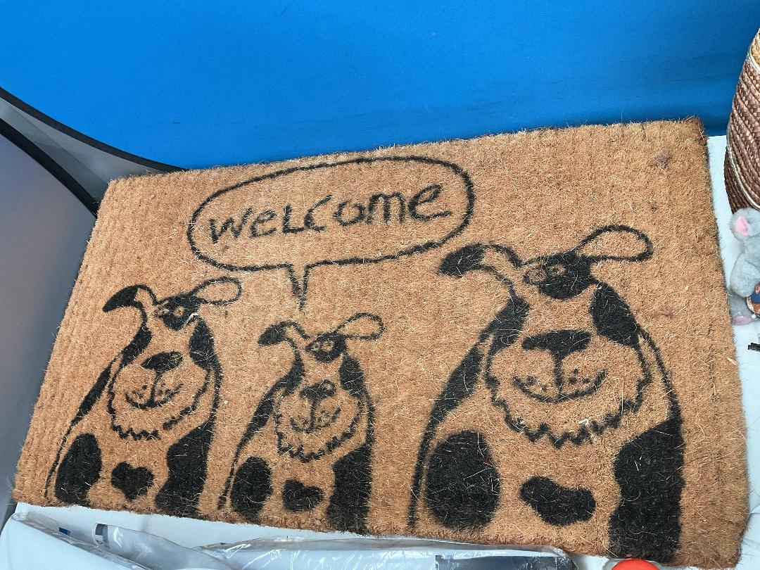 Photo '2' of Miscellaneous Items - Door Mat, Handbag Etc