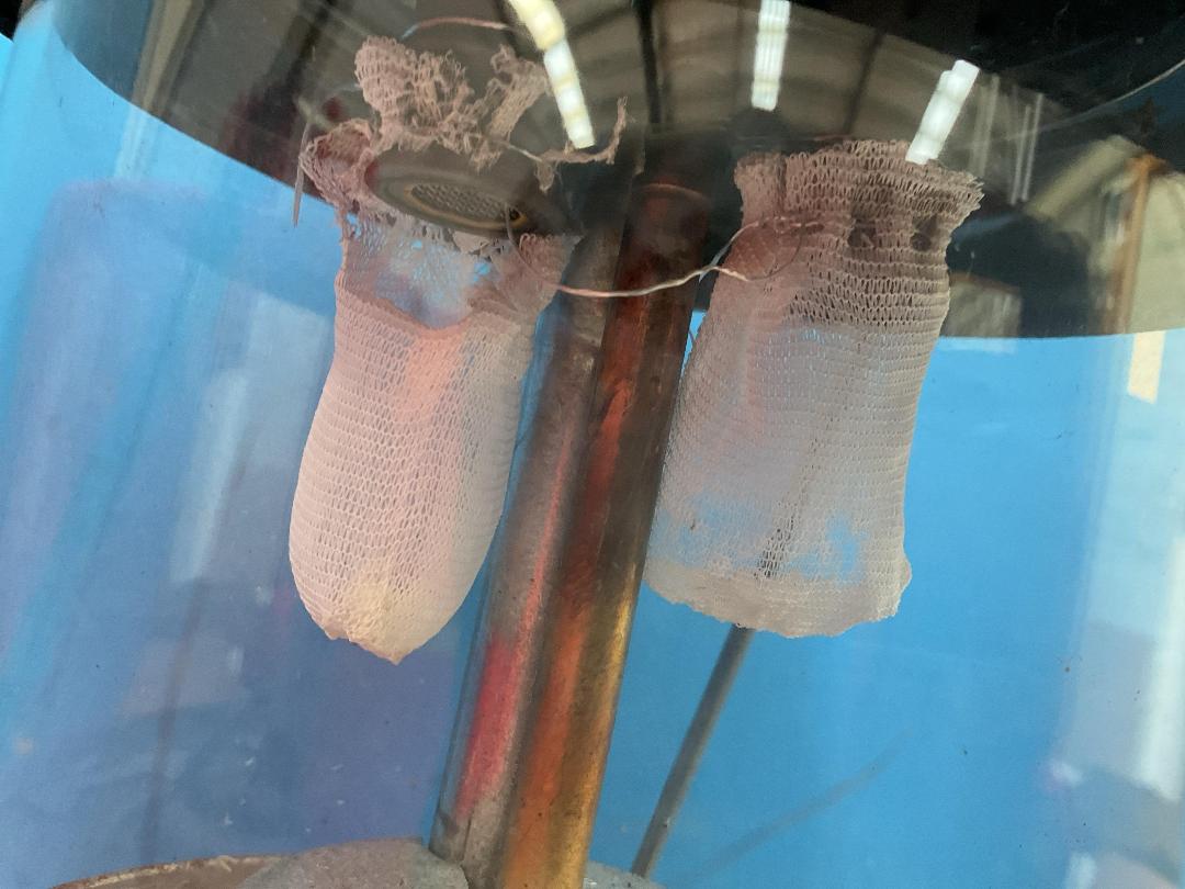 Photo '13' of Coleman Dual Fuel Lamp, 2x Buckets and 3x Doormats