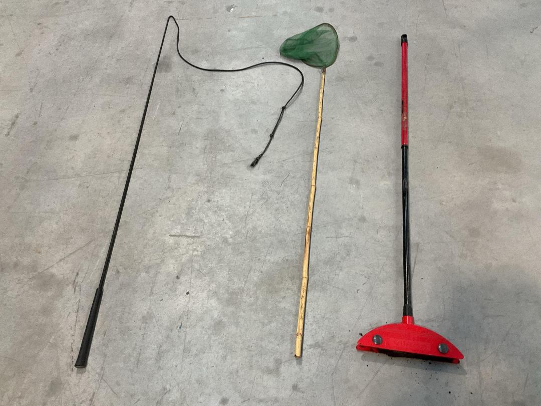 Photo '10' of Horse Whip or Similar, Brooms, Crutches, 2x Black Coloured Bins Etc Photo '10' of Horse Whip or Similar, Brooms, Crutches, 2x Black Coloured Bins Etc