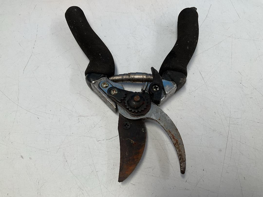 Photo '6' of Miscellaneous Items - Books, Pillow Etc